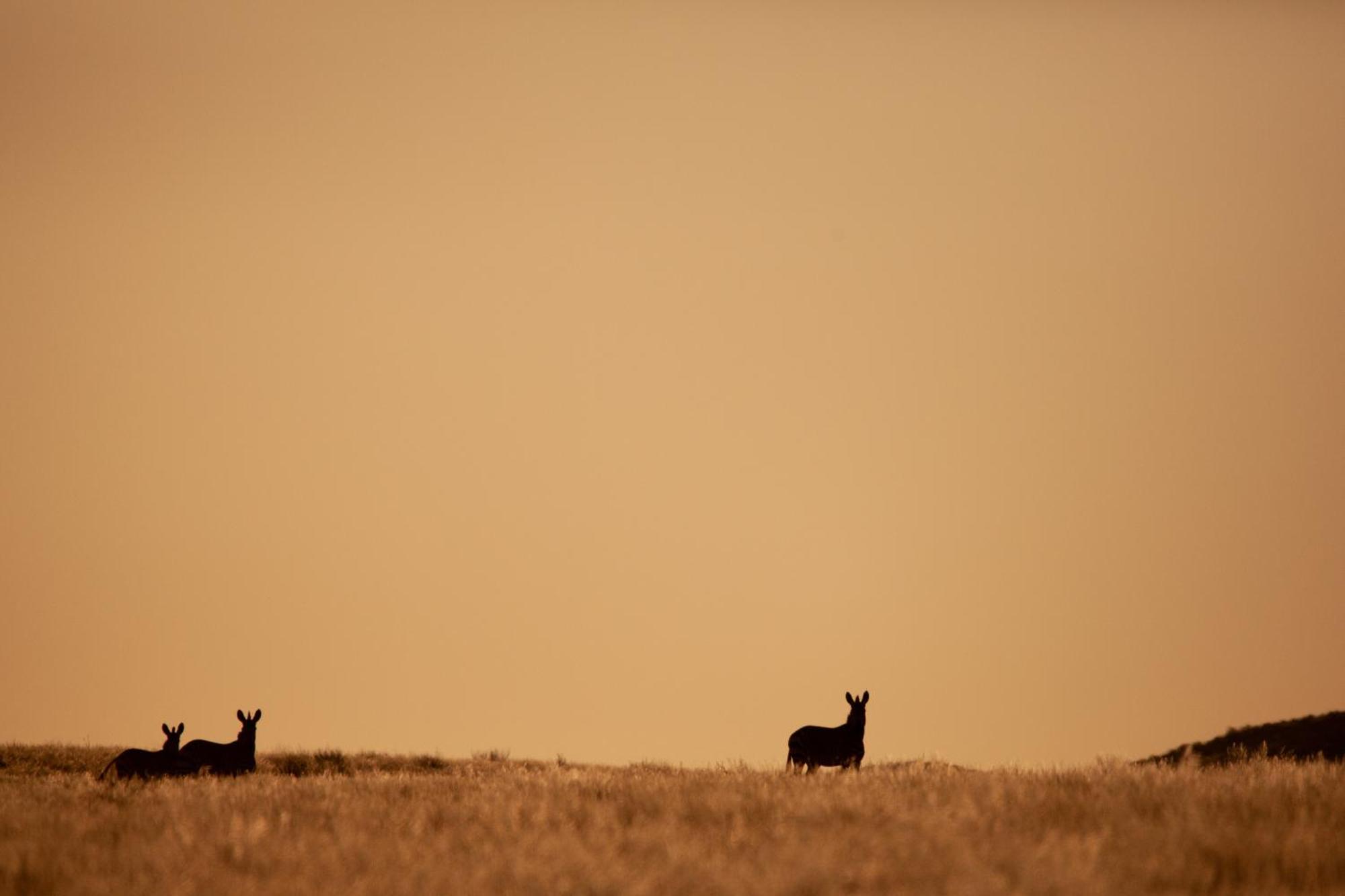 Sandfontein Lodge & Nature Reserve Eksteriør bilde